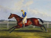 English Racehorses-C. Duncan-Framed Premier Image Canvas