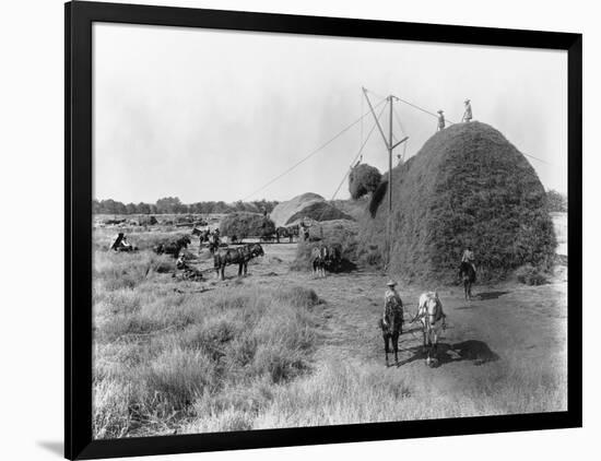 Photographic Print, , large