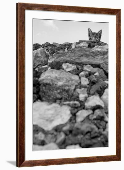 C’est Moi!-Jon Bertelli-Framed Photographic Print