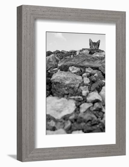 C’est Moi!-Jon Bertelli-Framed Photographic Print