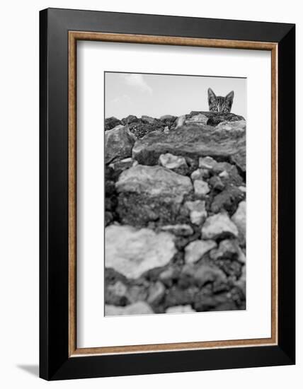 C’est Moi!-Jon Bertelli-Framed Photographic Print