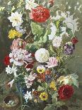 A Rich Still Life with Sunflower and Roses-C.f. Hurten-Giclee Print