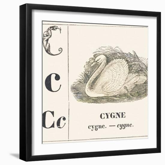 C for Swan, 1850 (Engraving)-Louis Simon (1810-1870) Lassalle-Framed Giclee Print