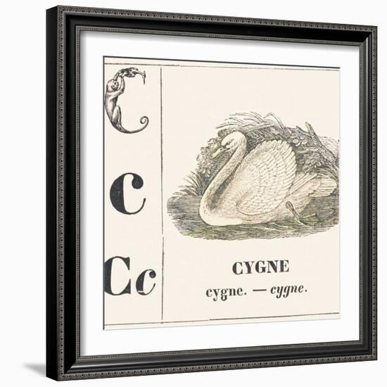 C for Swan, 1850 (Engraving)-Louis Simon (1810-1870) Lassalle-Framed Giclee Print