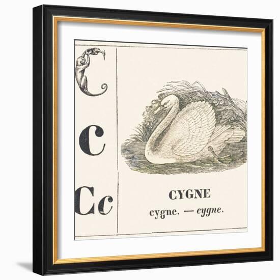 C for Swan, 1850 (Engraving)-Louis Simon (1810-1870) Lassalle-Framed Giclee Print