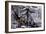 C&I: Winter Sports, 1855-Currier & Ives-Framed Giclee Print