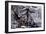 C&I: Winter Sports, 1855-Currier & Ives-Framed Giclee Print