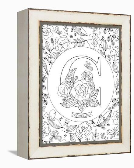 C is for Camellia-Heather Rosas-Framed Stretched Canvas