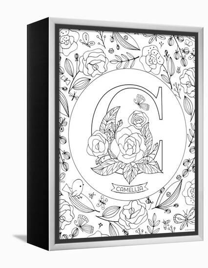 C is for Camellia-Heather Rosas-Framed Stretched Canvas