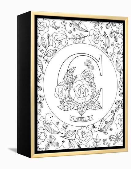 C is for Camellia-Heather Rosas-Framed Stretched Canvas