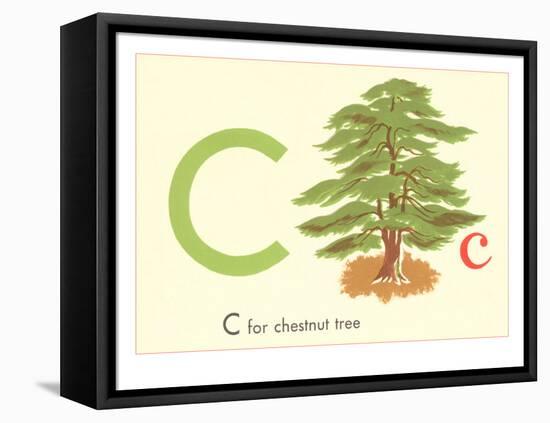 C is for Chestnut Tree-null-Framed Stretched Canvas