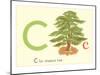 C is for Chestnut Tree-null-Mounted Art Print