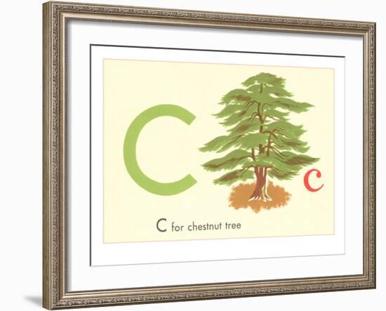 C is for Chestnut Tree-null-Framed Art Print