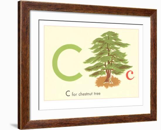 C is for Chestnut Tree-null-Framed Art Print