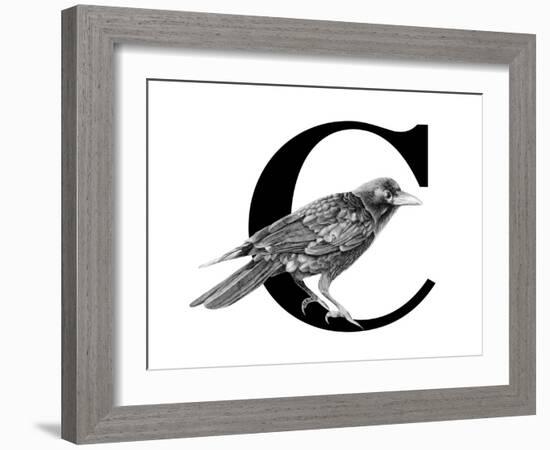 C is for Crow-Stacy Hsu-Framed Art Print