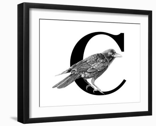 C is for Crow-Stacy Hsu-Framed Art Print