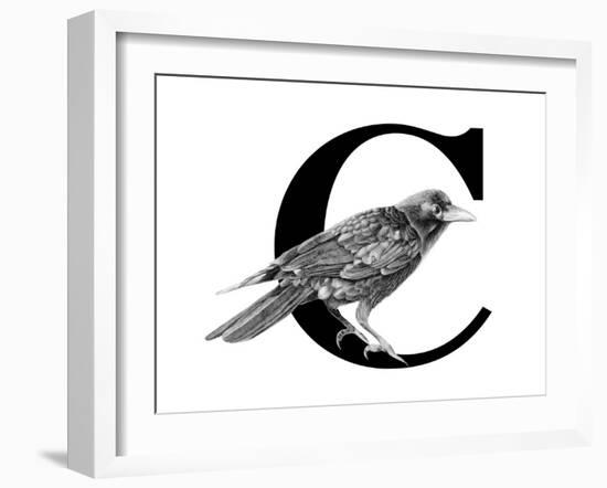 C is for Crow-Stacy Hsu-Framed Art Print