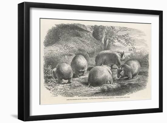 Art Print, , large