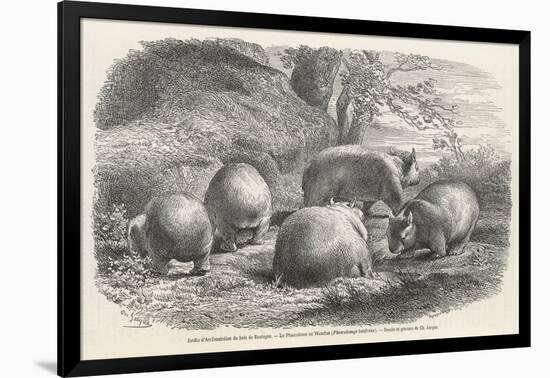Art Print, , large