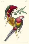 Lemaire Parrots I-C.L. Lemaire-Art Print