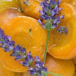 Apricots with Lavender, Detail-C. Nidhoff-Lang-Photographic Print