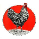 Rooster Photograph-C.R. Patterson-Giclee Print