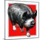 Premium Giclee Print