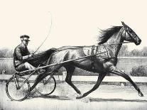 Man O' War; Champion Of Champions-C.W. Anderson-Art Print