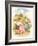 CA Fairy 41-Vintage Apple Collection-Framed Giclee Print