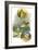 CA Fairy 65-Vintage Apple Collection-Framed Giclee Print