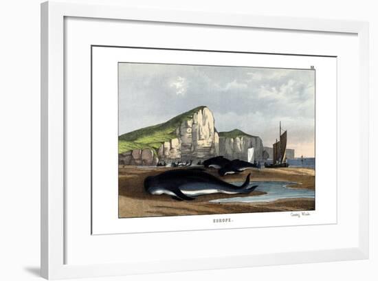 Caa'Ing Whale, 1860-null-Framed Giclee Print