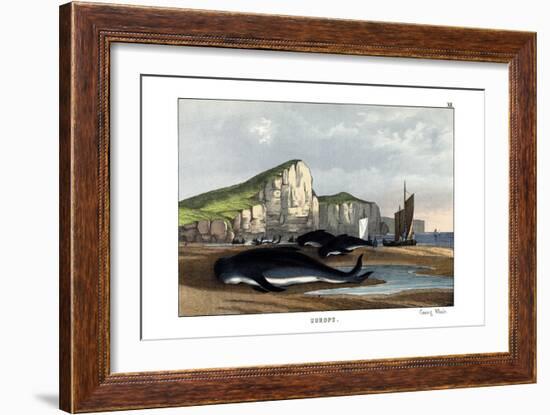 Caa'Ing Whale, 1860-null-Framed Giclee Print