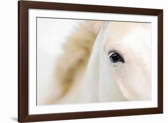 Caballo Blanco I-Shana Rae-Framed Giclee Print