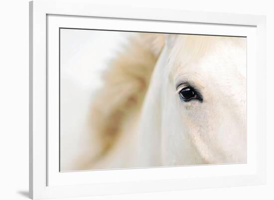 Caballo Blanco I-Shana Rae-Framed Giclee Print