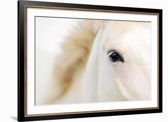 Caballo Blanco I-Shana Rae-Framed Giclee Print