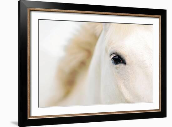 Caballo Blanco I-Shana Rae-Framed Giclee Print