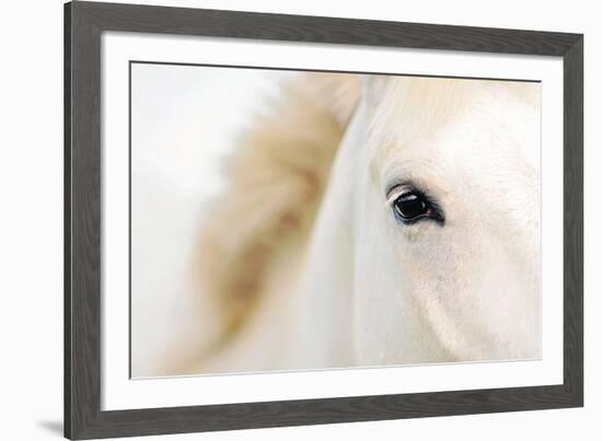 Caballo Blanco I-Shana Rae-Framed Giclee Print