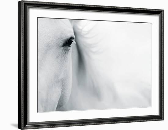 Caballo Blanco II-Shana Rae-Framed Art Print