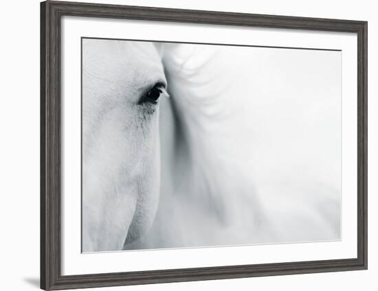 Caballo Blanco II-Shana Rae-Framed Art Print