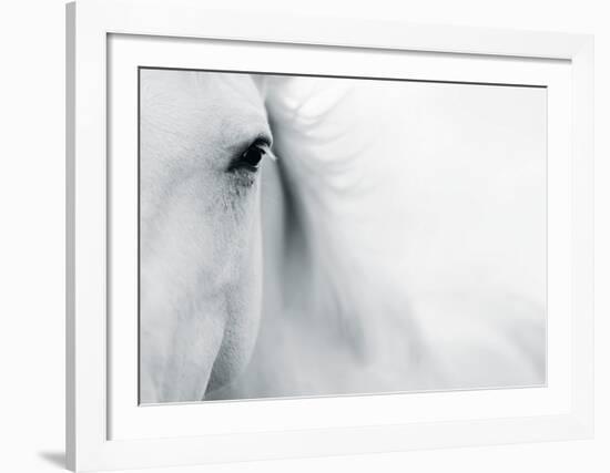 Caballo Blanco II-Shana Rae-Framed Art Print