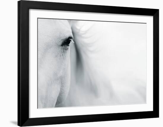 Caballo Blanco II-Shana Rae-Framed Art Print