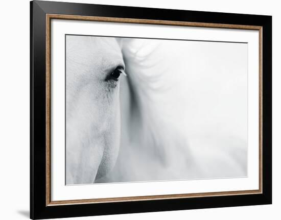 Caballo Blanco II-Shana Rae-Framed Art Print