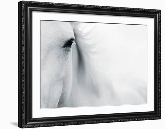Caballo Blanco II-Shana Rae-Framed Art Print