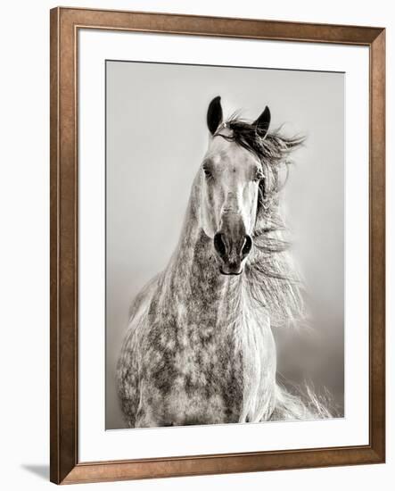 Caballo de Andaluz-Lisa Dearing-Framed Photographic Print