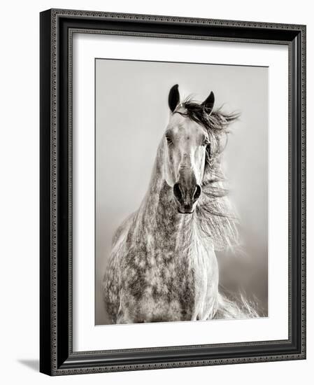 Caballo de Andaluz-Lisa Dearing-Framed Photographic Print