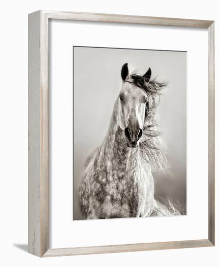 Caballo de Andaluz-Lisa Dearing-Framed Photographic Print