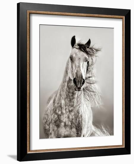 Caballo de Andaluz-Lisa Dearing-Framed Premium Photographic Print