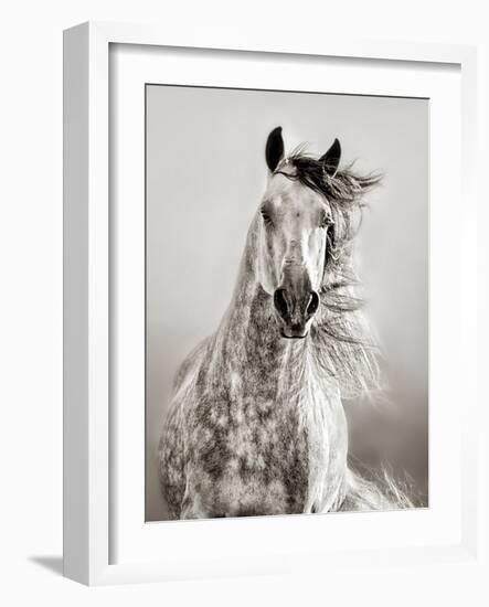 Caballo de Andaluz-Lisa Dearing-Framed Premium Photographic Print