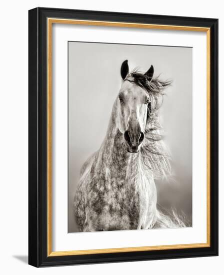 Caballo de Andaluz-Lisa Dearing-Framed Premium Photographic Print