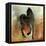 Caballo del Negro I-Maeve Harris-Framed Premier Image Canvas